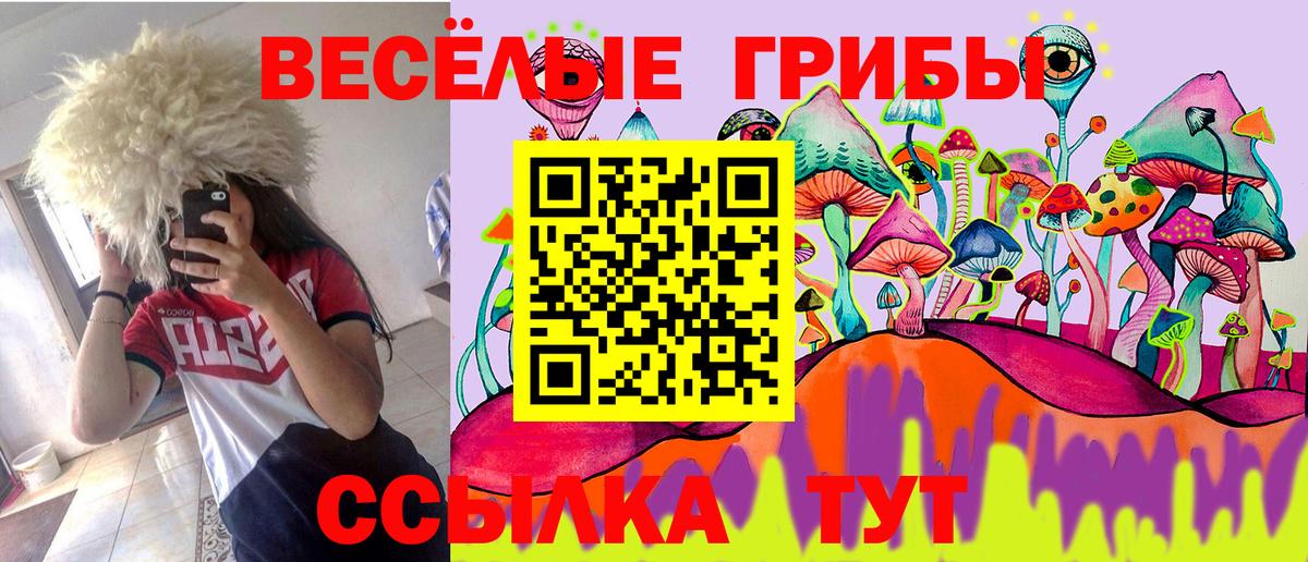 Галлюциногенные грибы ЛСД Грязи