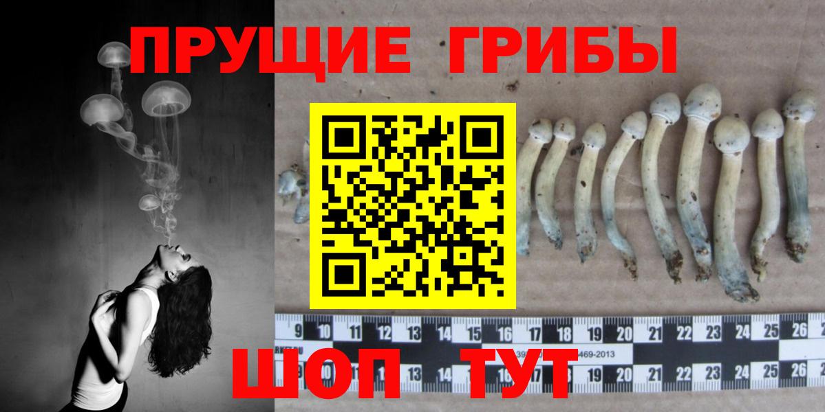 Псилоцибиновые грибы Cubensis  Вход с VPN  Грязи 